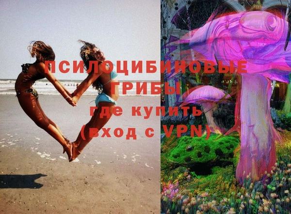 мяу мяу мука Касимов