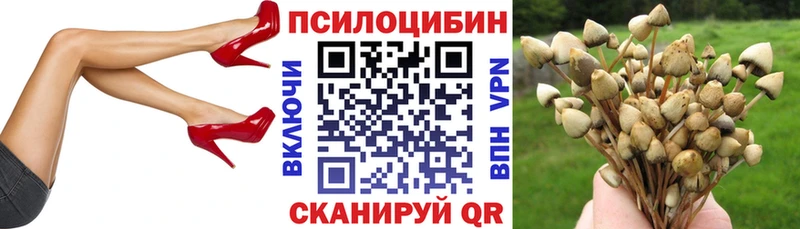 купить наркотик  Димитровград  Псилоцибиновые грибы Magic Shrooms 