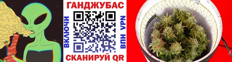МАРИХУАНА Ganja как найти МЕГА ТОР Димитровград